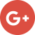 sign-in-with-google-icon-16